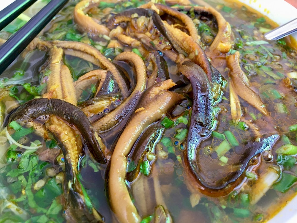 Attractive bowl of eel vermicelli with plump eel meat